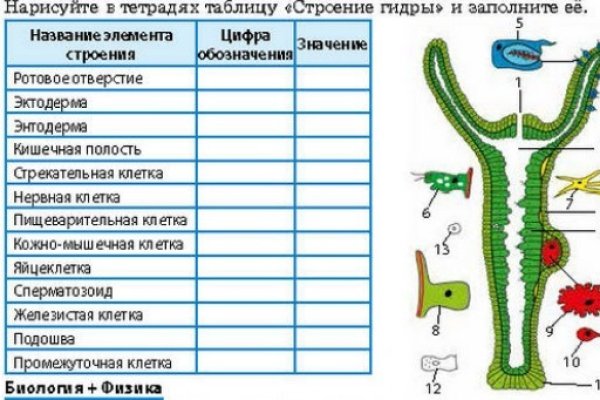 Кракен даркнет купить