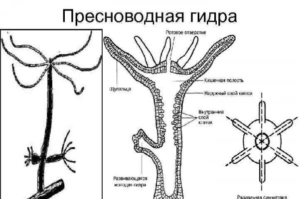 Кракен ссылка 25