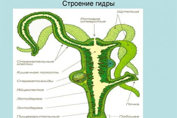 Кракен короткая ссылка
