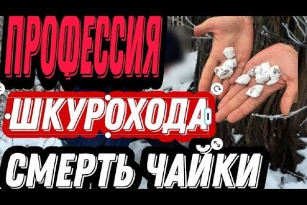 Найти ссылку на кракен