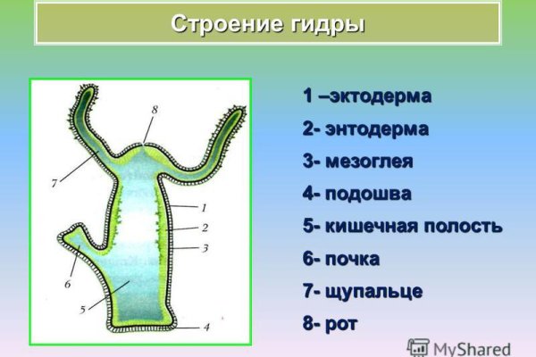 Kraken ссылка актуальная москва